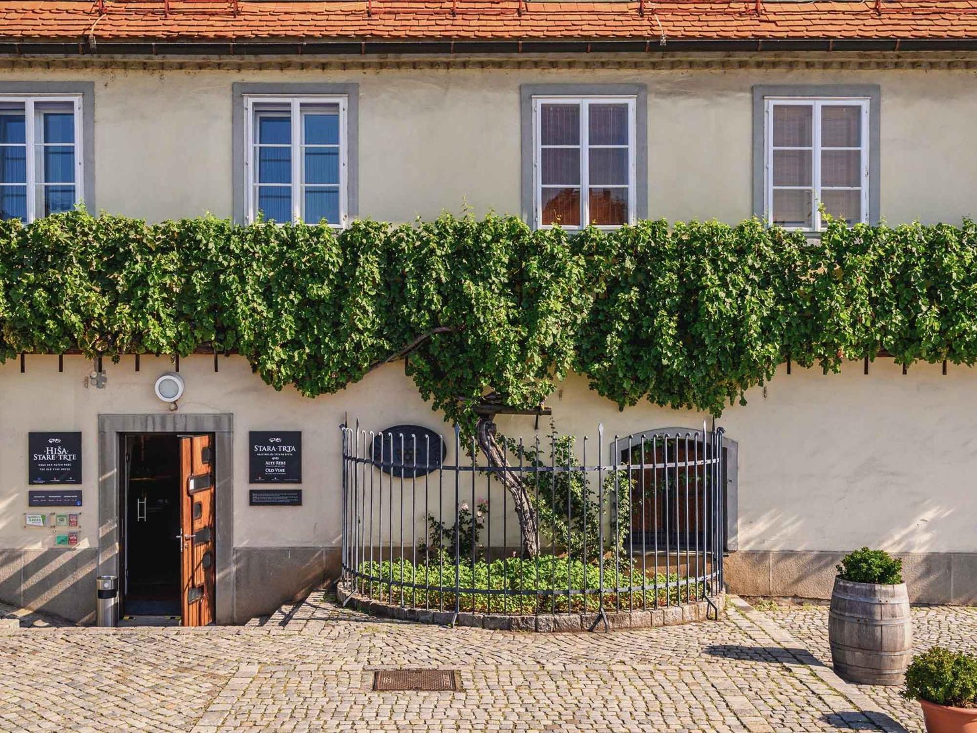 Kavenija Apartmaji - Free Parking Marburg Exterior foto